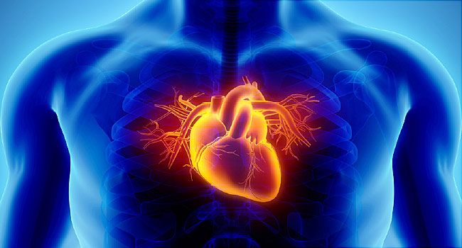 Bệnh tim ở nam và nữ có gì khác nhau?