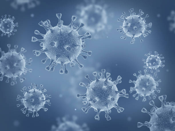 Cảm lạnh mùa hè chủ yếu do nhiễm enterovirus.